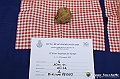 VBS_6571 - Fiera dei Santi - 12.ma Fiera Nazionale del Tartufo